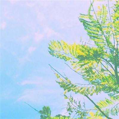 古墓丽影3游戏下载