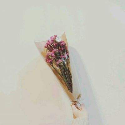 军师联盟2虎啸龙吟手游下载